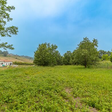 Terrain 3565 m²