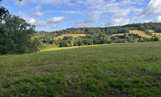 Photo N° 4