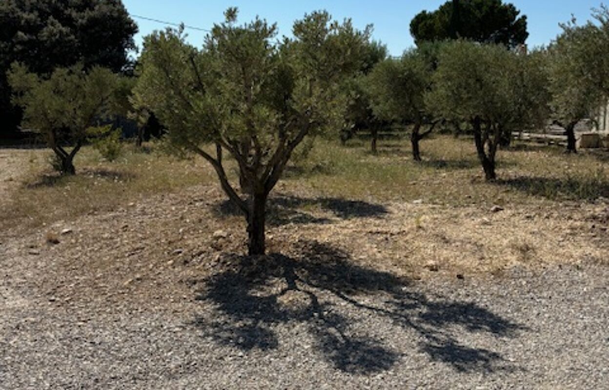 terrain  pièces 405 m2 à vendre à Aureille (13930)