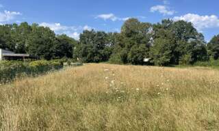 Terrain  4500 m² à vendre à Brignac-la-Plaine (19310)