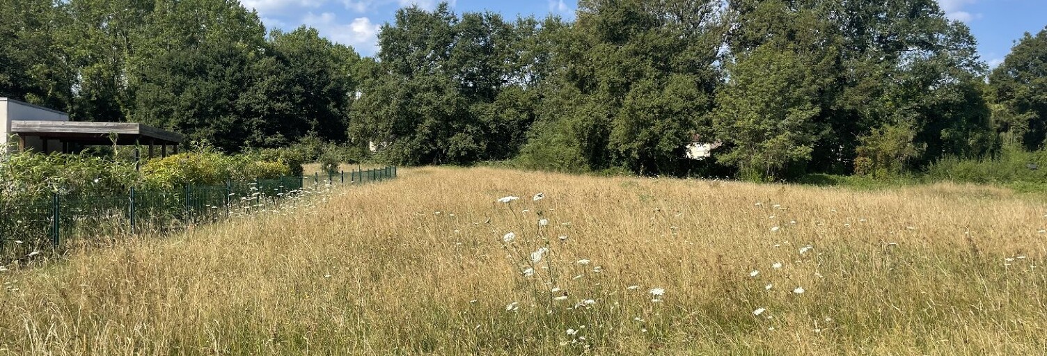 Terrain  4500 m² à vendre à Brignac-la-Plaine (19310)