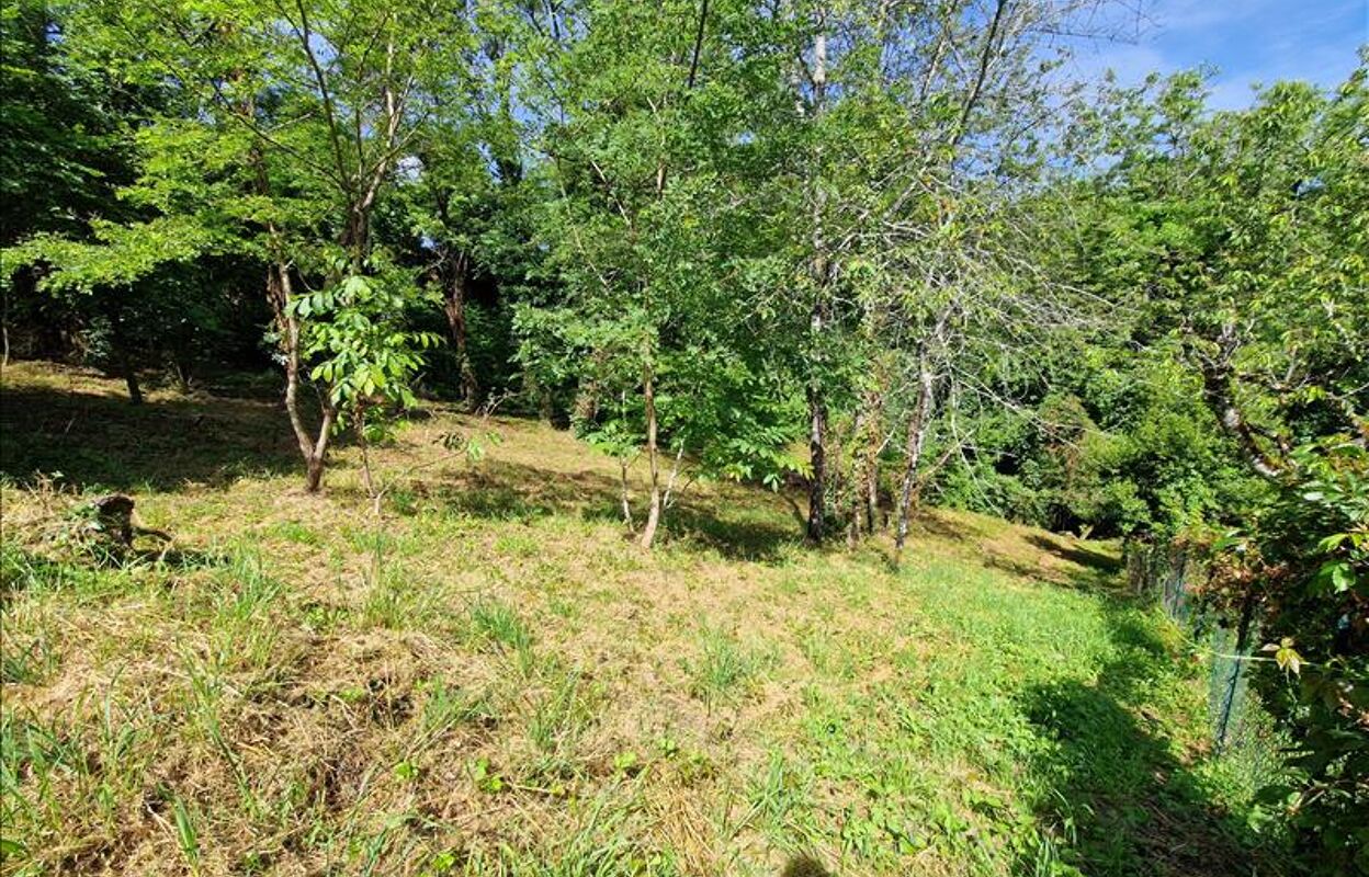 terrain  pièces 3500 m2 à vendre à Brive-la-Gaillarde (19100)