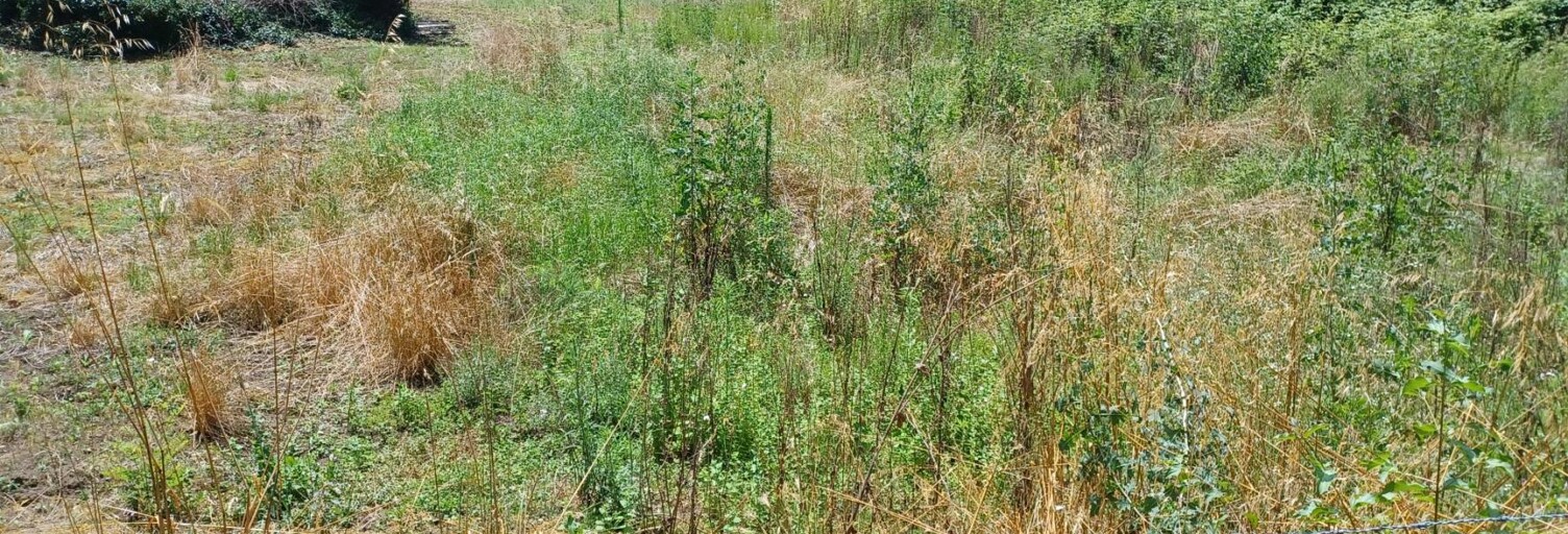 Terrain 592 m² à construire Moirans (38430)