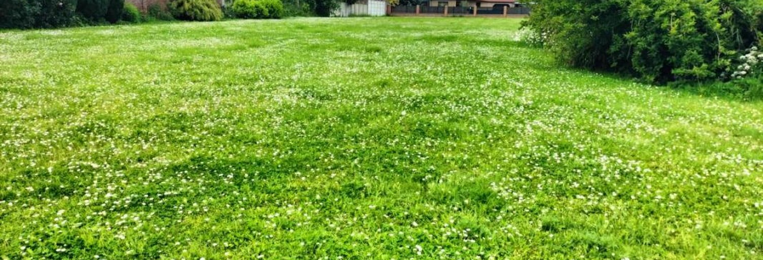 Terrain  500 m² à vendre à Raimbeaucourt (59283)