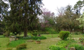 Photo N° 4