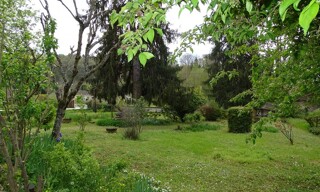 Photo N° 8