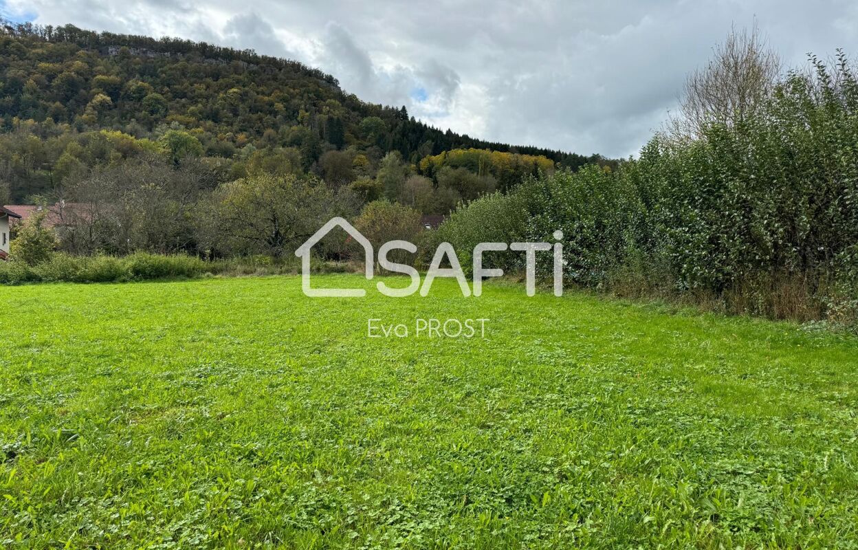 terrain  pièces 1301 m2 à vendre à Ornans (25290)