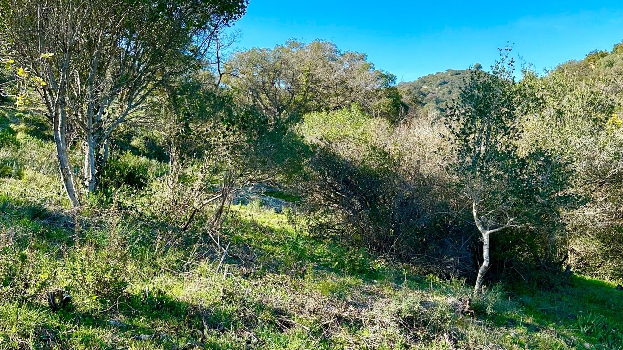 terrain  pièces 20866 m2 à vendre à Grimaud (83310)