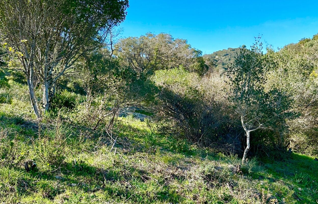 terrain  pièces 20866 m2 à vendre à Grimaud (83310)