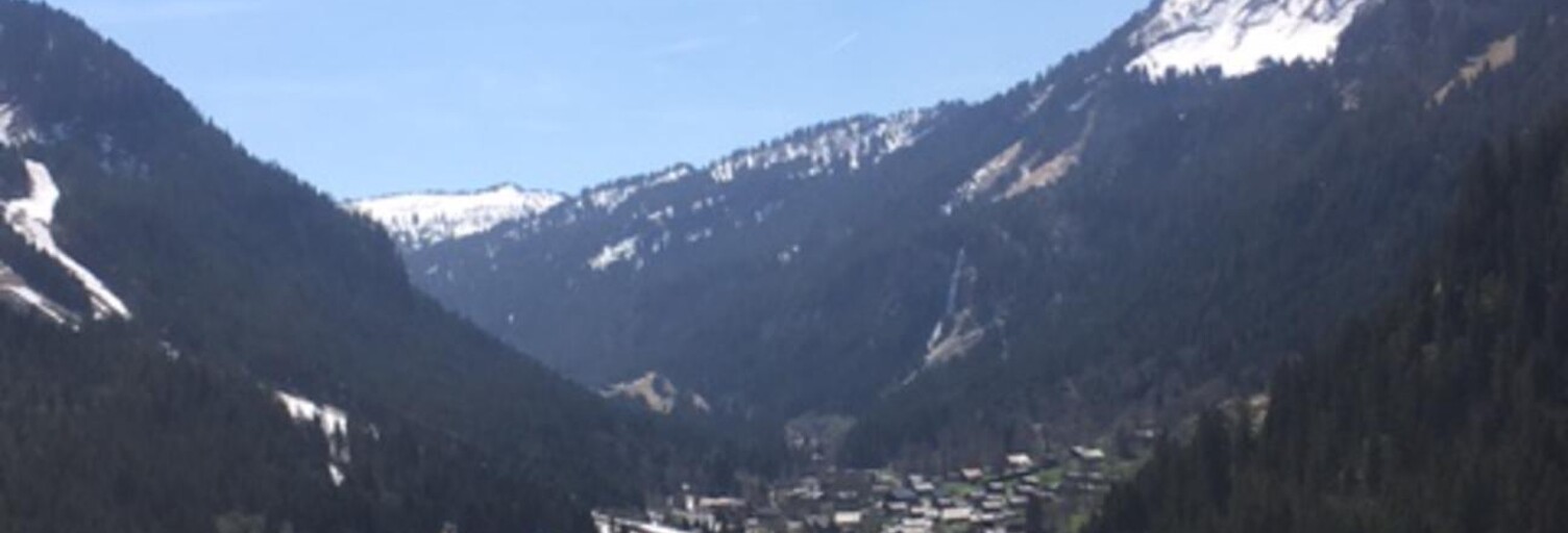 Appartement 1 Pièce 28 m² à vendre à Châtel (74390)