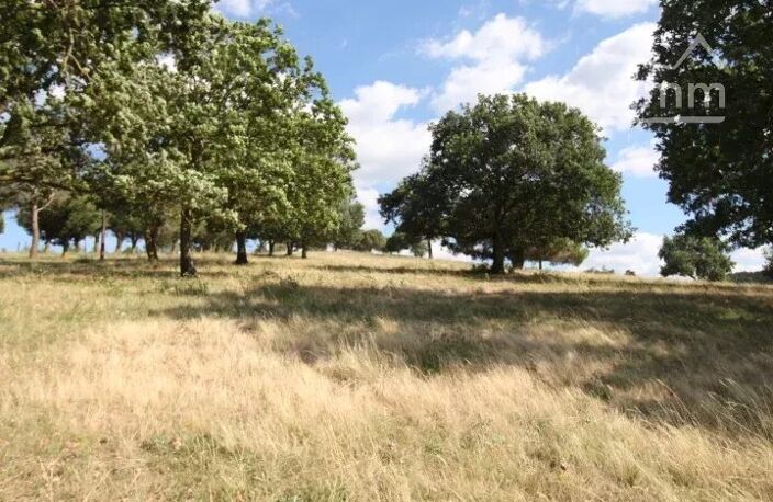 A vendre terrain de 48 000 m² pour projet touristique — photo 2