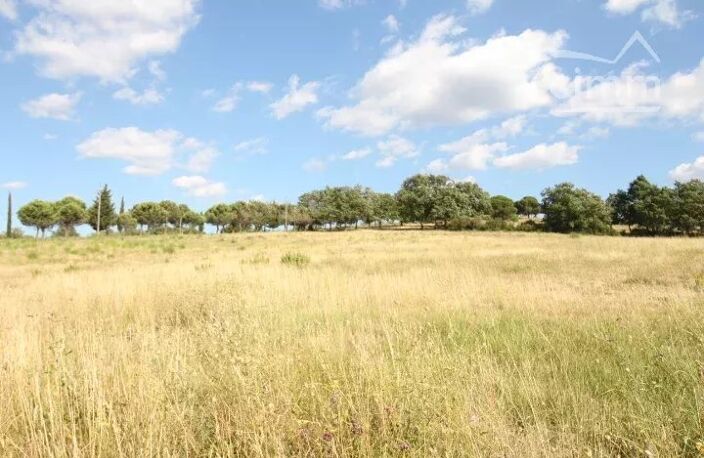 A vendre terrain de 48 000 m² pour projet touristique — photo 4