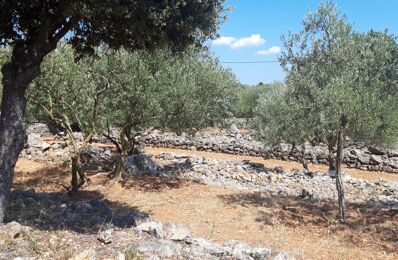 terrain 2320 m2 à construire à Saint-Maximin-la-Sainte-Baume (83470)