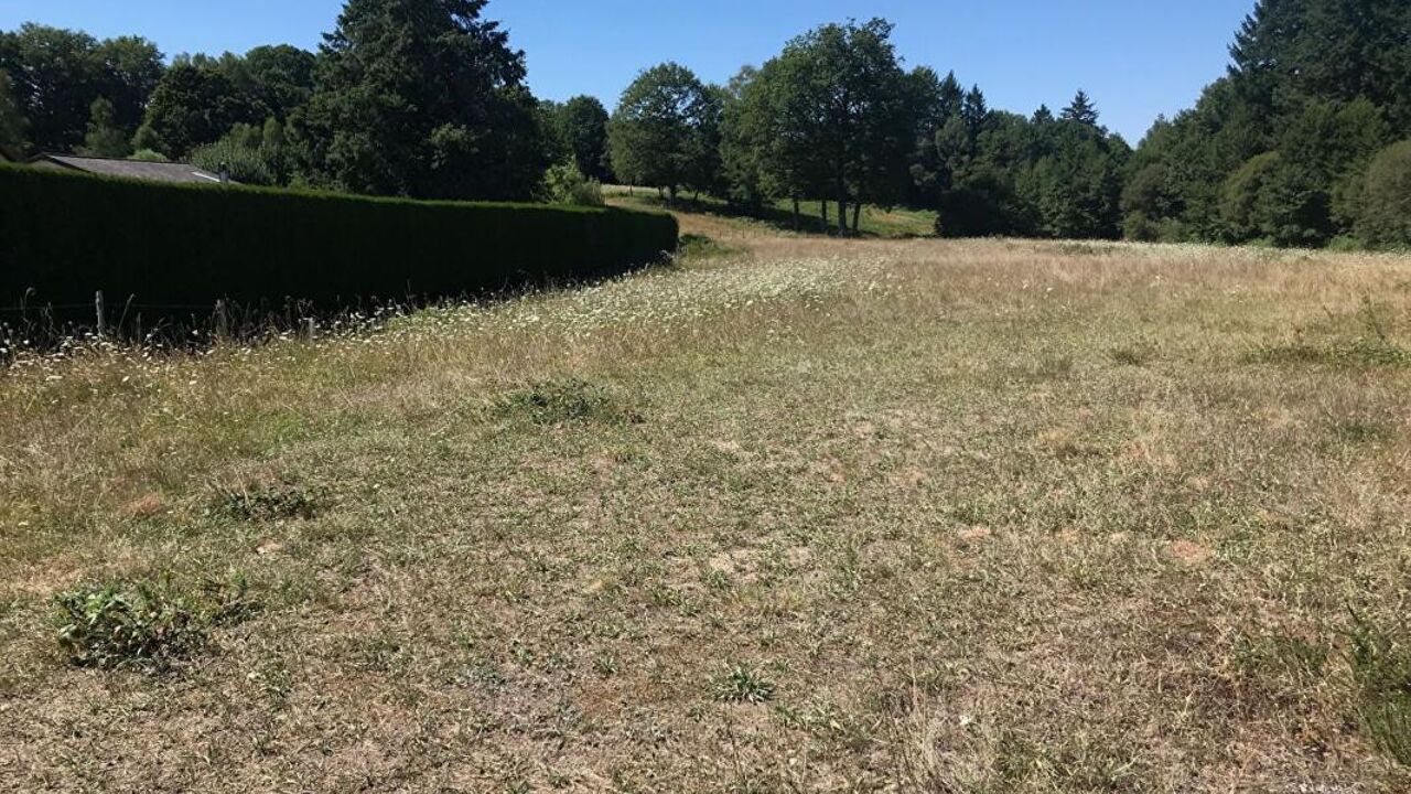 terrain  pièces 1500 m2 à vendre à Compreignac (87140)