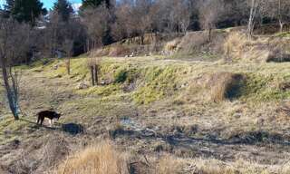 Terrain  2295 m² à vendre à Coursegoules (06140)