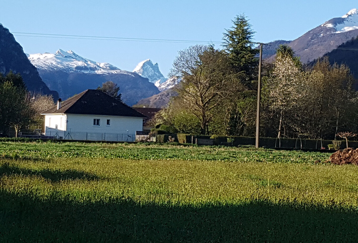 TERRAIN CONSTRUCTIBLE LOUVIE JUZON - 1800 m2 — photo 1