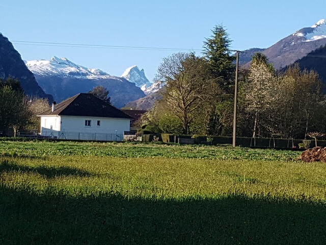 Terrain proposé à Louvie-Juzon