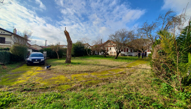 Terrain  à vendre Ciboure 64500