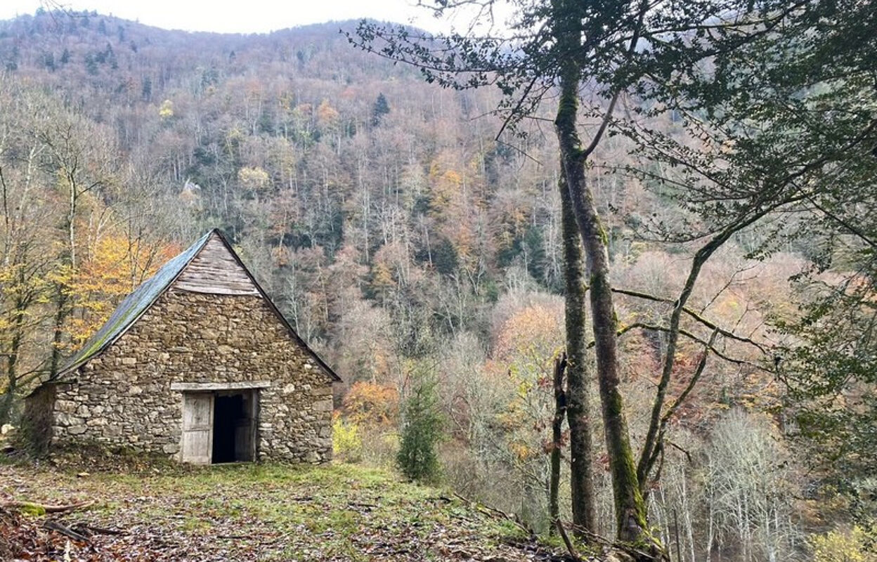 divers  pièces 200 m2 à vendre à Ilhet (65410)