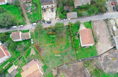 vente terrain 295 000 € à proximité de Poggio-d'Oletta (20232)