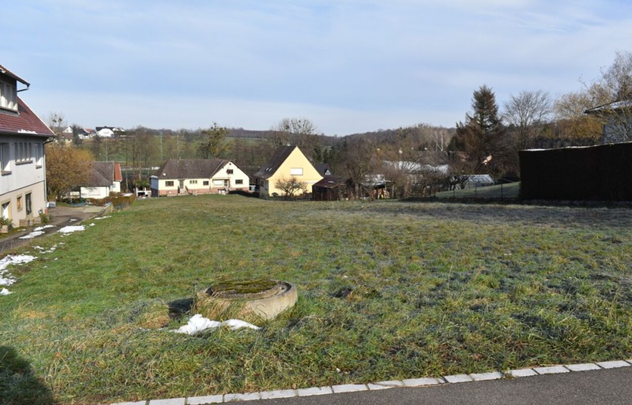 terrain  pièces 1435 m2 à vendre à Drulingen (67320)