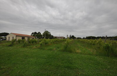 terrain  pièces 550 m2 à vendre à Targon (33760)