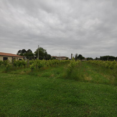 Terrain 550 m²