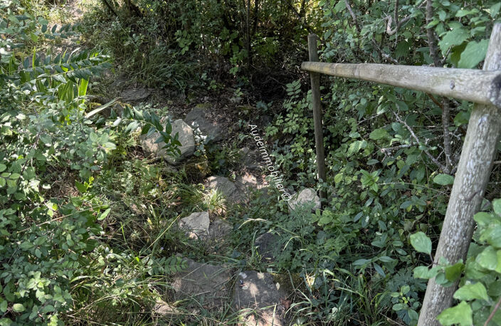 Maison de village en pierres avec jardin et terres — photo 5