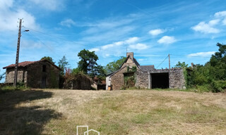 Photo N° 5
