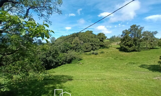 Photo N° 15