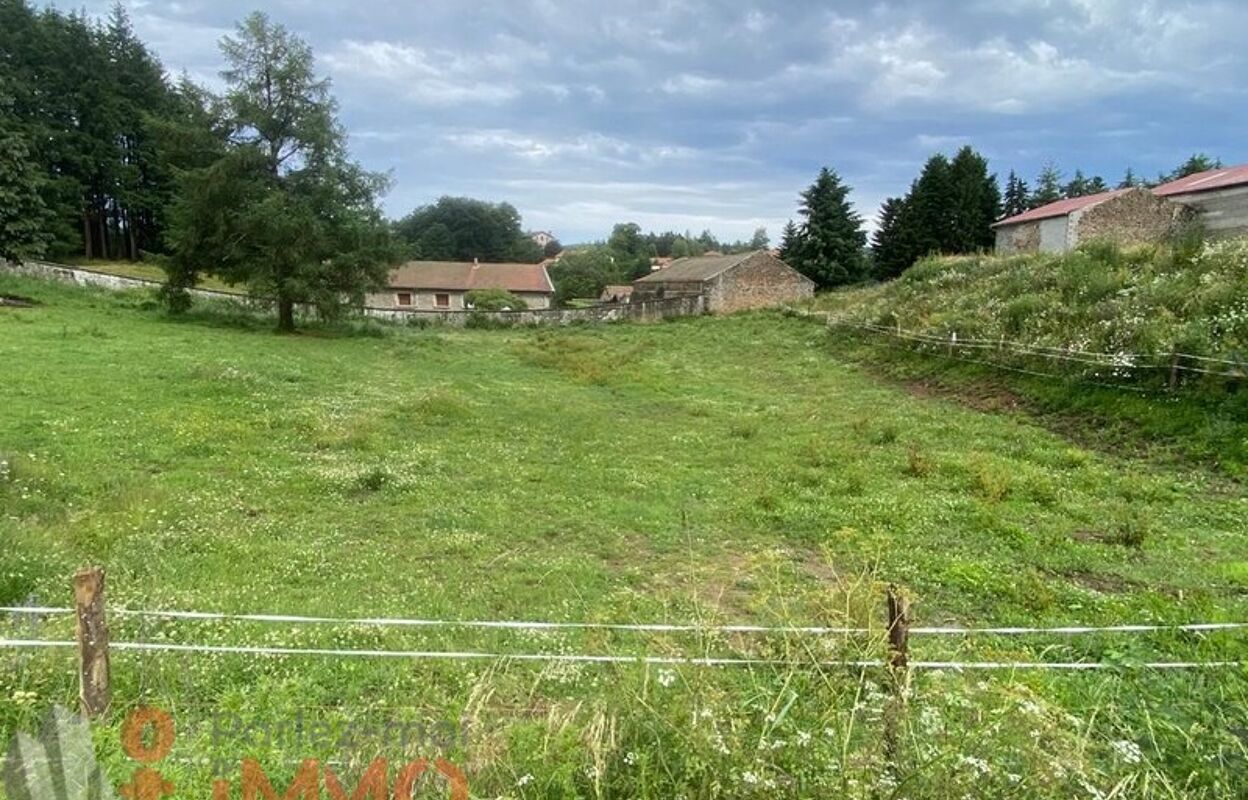 terrain  pièces 1274 m2 à vendre à Saint-Pal-de-Mons (43620)