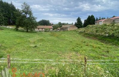 vente terrain 42 000 € à proximité de Beaux (43200)