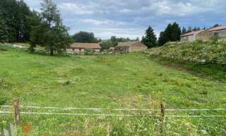 Terrain  1274 m² à vendre à Saint-Pal-de-Mons (43620)