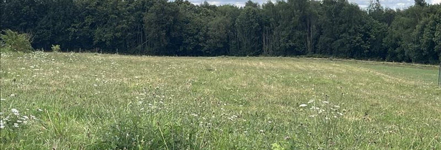 Terrain  3140 m² à vendre à Angoisse (24270)