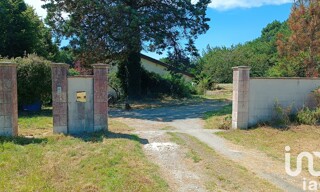 Photo N° 5