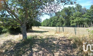 Photo N° 6