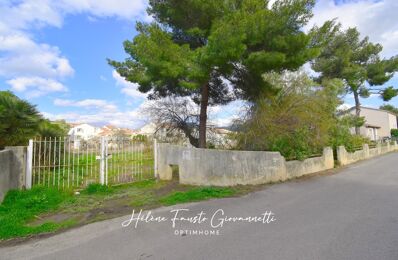 vente terrain 273 000 € à proximité de Poggio-d'Oletta (20232)