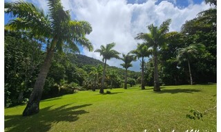 Photo N° 4