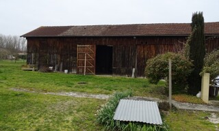 Photo N° 7