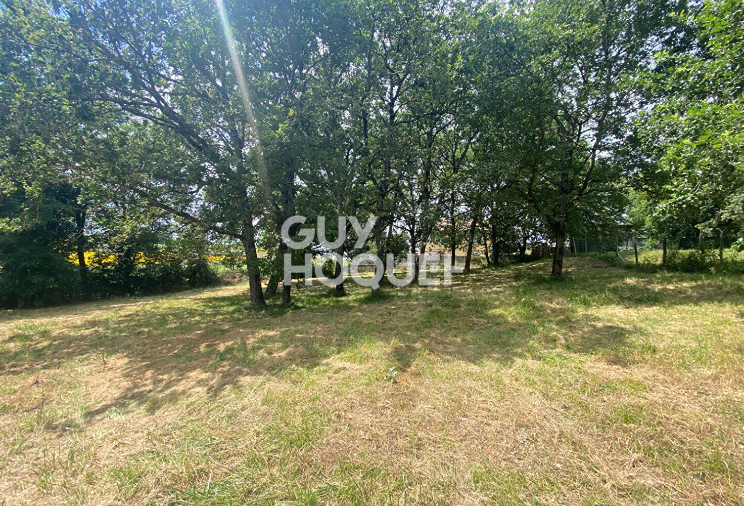 terrain — photo 1