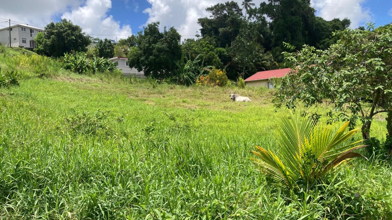 terrain  pièces 800 m2 à vendre à Le Lamentin (97232)