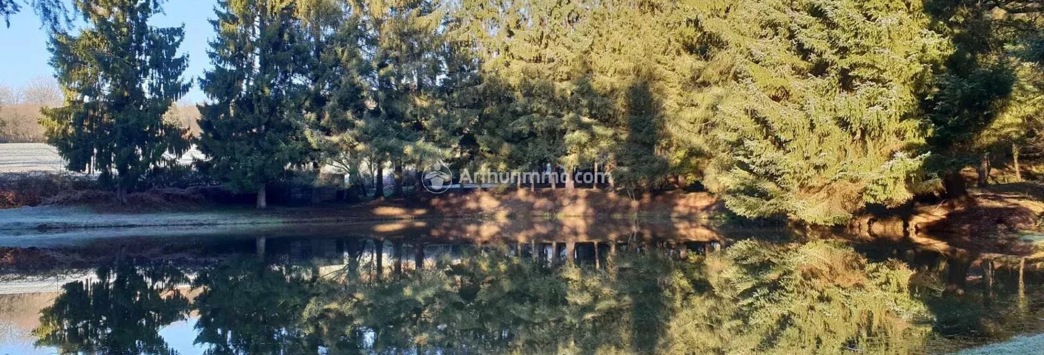 Terrain  10109 m² à vendre à Loupfougères (53700)