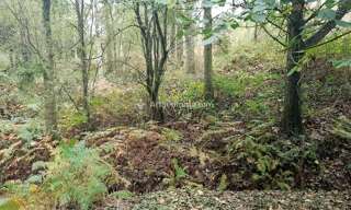 Terrain  10109 m² à vendre à Loupfougères (53700)