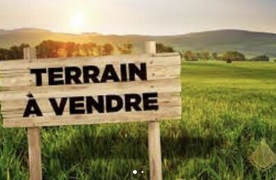 terrain 1100 m2 à construire à Bouzonville-Aux-Bois (45300)