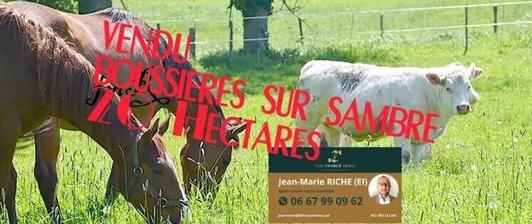 Agence immobilière de DLC FRANCE IMMO