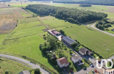 vente maison 820 000 € à proximité de Basse-Ham (57970)