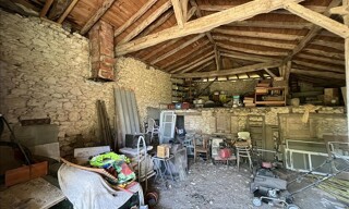 Photo N° 6