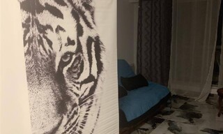 Appartement 1 Pièce 26 m² à louer à Avon (77210)