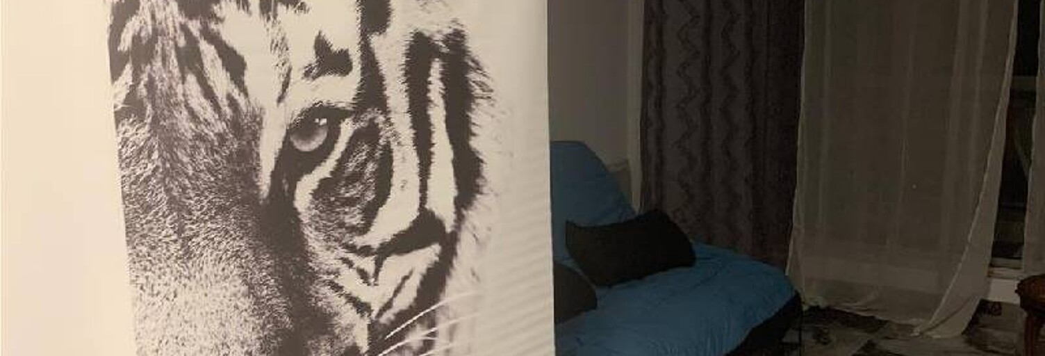 Appartement 1 Pièce 26 m² à louer à Avon (77210)