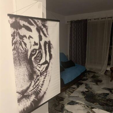 Appartement 1 pièces 780 €